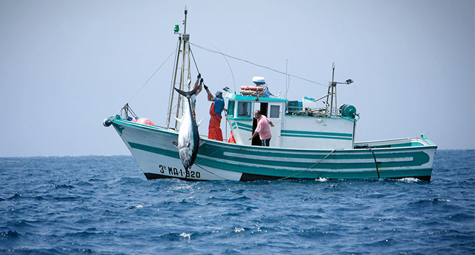 La UE ultima un nuevo acuerdo de pesca con Marruecos de dudosa legalidad