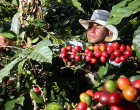 <em>La burbuja del café</em>