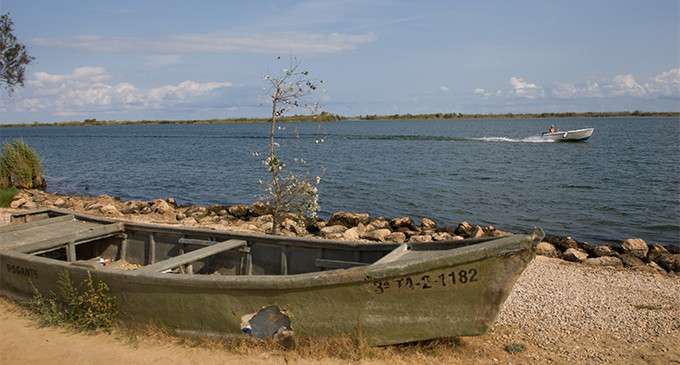 El Delta del Ebro lanza un grito por su supervivencia