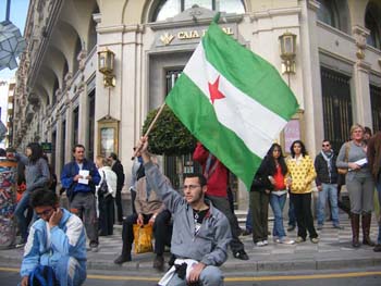 Un joven, con la bandera de Andalucía. I La Marea