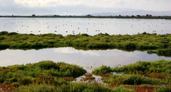 BirdLife constata el “fracaso” de la UE en los objetivos de biodiversidad para 2020