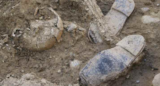 El año más activo en exhumaciones en Andalucía: 12 fosas, 300 víctimas