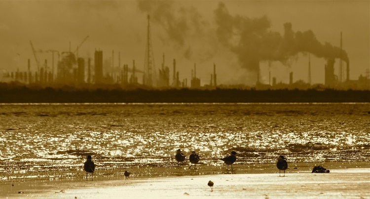Refinería de ExxonMobil en Texas. Foto: Roy Luck.