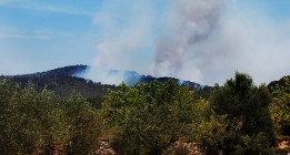 El fuego convierte el pulmón de Valencia en un desierto