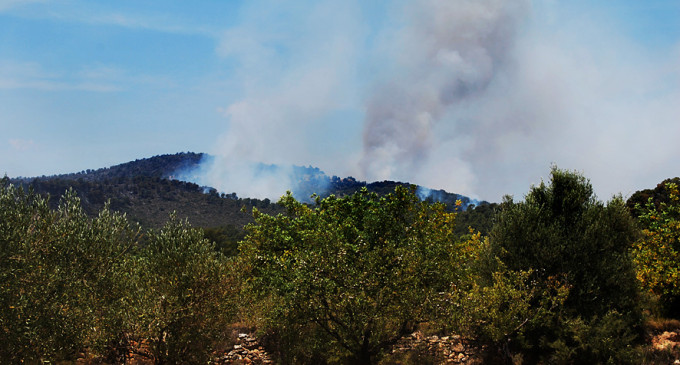 El fuego convierte el pulmón de Valencia en un desierto