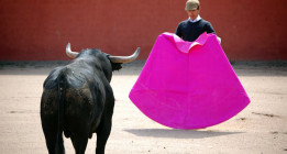 El Constitucional declara "legales" las corridas de toros en Francia