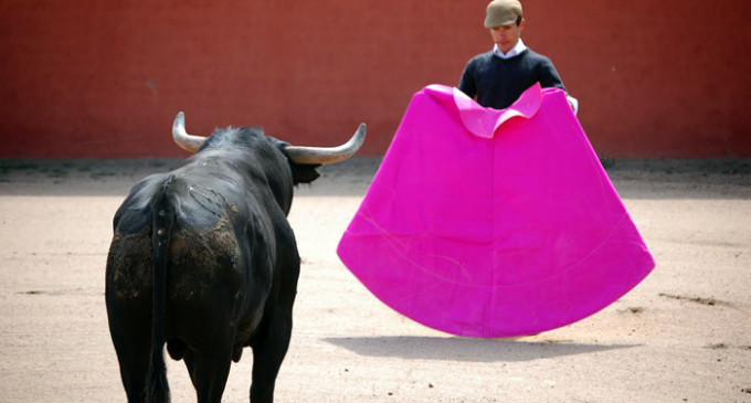 El Constitucional declara "legales" las corridas de toros en Francia