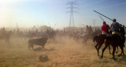 La ansiedad y las lanzas de Tordesillas matan al astado ‘Volante’