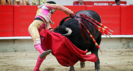 Madrid destina otros 250.000 euros al “apoyo y fomento” de las corridas de toros