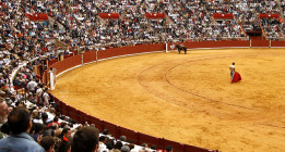 La tauromaquia será Bien de Interés Cultural