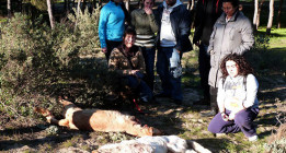 La Junta de Andalucía autoriza una cacería de perros asilvestrados en Punta Umbría