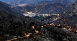 Civio denuncia la caída del gasto en prevención de incendios