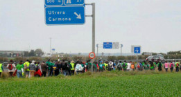 Una marcha verde de 500 interinos recorre Andalucía