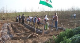 Las malas cosechas empeoran la situación de los jornaleros andaluces