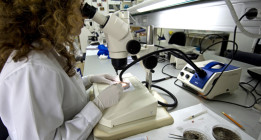 El auténtico precio del ‘corralito’ científico del CSIC