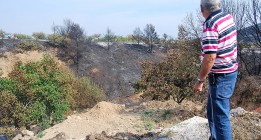 El 55% de los incendios es intencionado