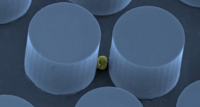 La fórmula millonaria de los medicamentos para el cáncer