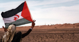 <em>Los marroquíes críticos y el conflicto del Sáhara</em>