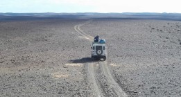 La épica búsqueda de los últimos guepardos del Sahara