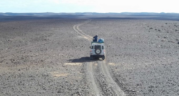 La épica búsqueda de los últimos guepardos del Sahara