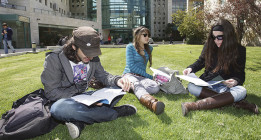 <em>La excelencia no se encuentra en Israel</em>