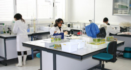 El trabajo de investigación de base en el CSIC