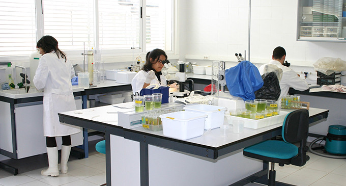 El trabajo de investigación de base en el CSIC