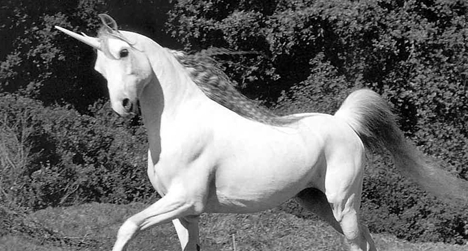 La medición en la psicología, o la <em>búsqueda del unicornio</em>