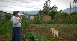 Las mujeres campesinas, guardianas de las semillas