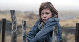 Cinco historias de perseverancia en el 29º Festival de Cine en Guadalajara