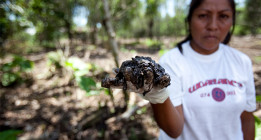 Chevron: 50 años de impunidad