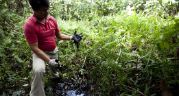 <em>Chevron-Texaco, del apoyo al franquismo a la contaminación de la Amazonía</em>
