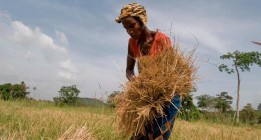 <em>La tierra, para las mujeres que la trabajan</em>