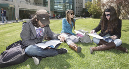<em>La excelencia no se encuentra en Israel</em>
