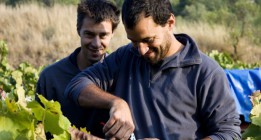 Un aceite que nace de la tierra y sus intérpretes