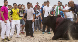 Agresiones y retenciones a antitaurinos en el Toro de la Vega