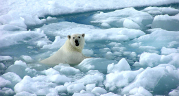 Las noticias climáticas de la semana