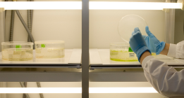 Cofely se encarga del mantenimiento del laboratorio que analiza las muestras del ébola