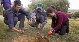 La persecución del rebusco amenaza el sustento de miles de familias en Extremadura