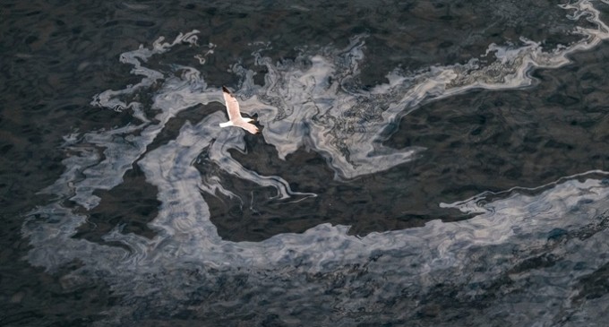 Greenpeace alerta de que varios regueros de fuel se acercan a la costa canaria