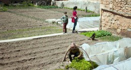 El medio rural busca el modo de sobrevivir
