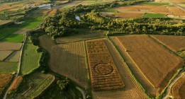 Aragón, Cantabria y País Valenciano, las zonas con peor calidad medioambiental