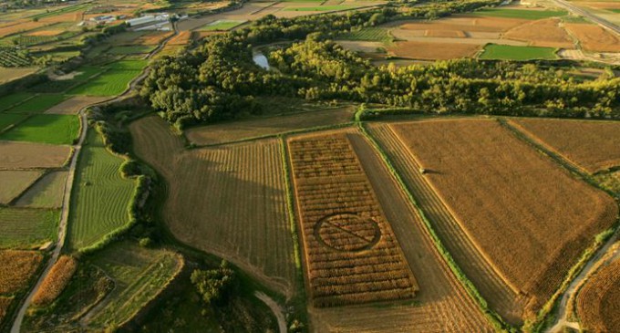 Aragón, Cantabria y País Valenciano, las zonas con peor calidad medioambiental