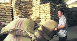 250 millones de personas en cooperativas