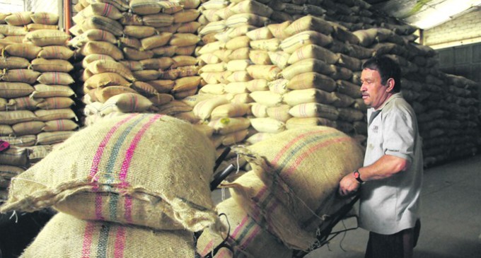 250 millones de personas en cooperativas