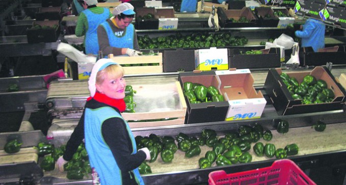 Creciente participación de las mujeres en las cooperativas