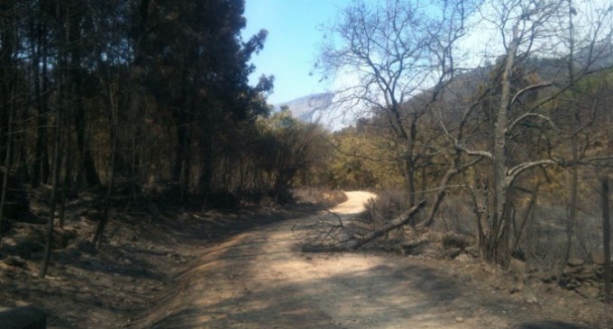 El viento y la temperatura obligan a mantener la alerta en el incendio de Gata