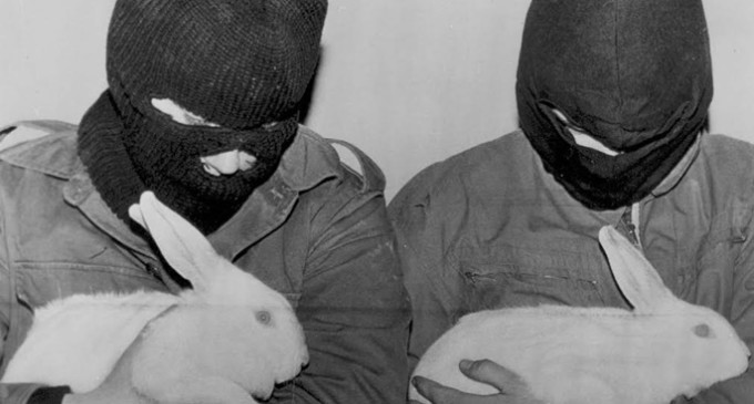 Represión y amenazas a los “ecoterroristas” que liberan animales