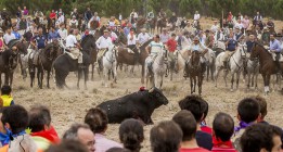 La Junta de Castilla y León deniega el permiso para celebrar el Toro de la Vega