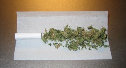 Los clubes de cannabis, contra las cuerdas